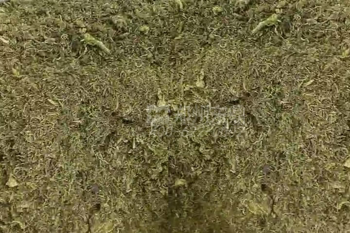 牧草烘干機(jī)如何科學(xué)選型？牧草烘干過程中營養(yǎng)成分會流失嗎